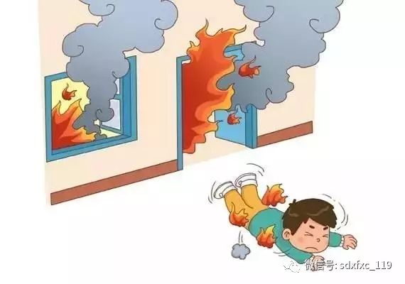 1490063471224719.jpg 640.webp (9).jpg